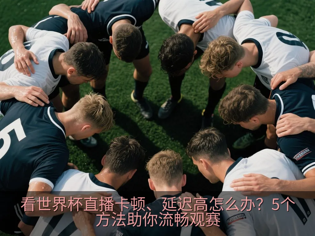 看世界杯直播卡顿、延迟高怎么办？5个方法助你流畅观赛